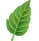 leaf.png